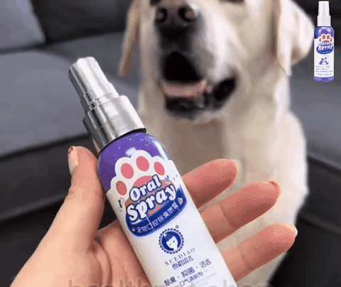 Spray Bucal® Limpiador para mascotas – Tienda Choop