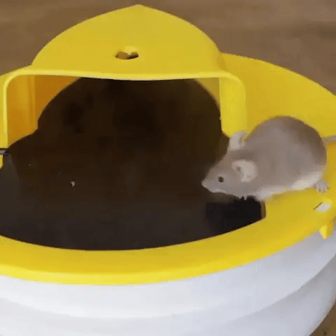 Smart Trap™ Trampa para ratones